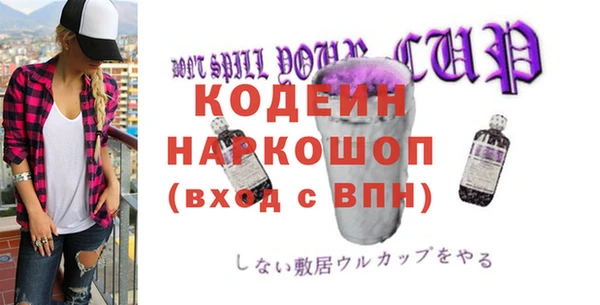 хмурый Алексин