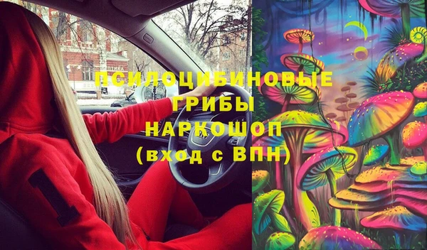 хмурый Алексин