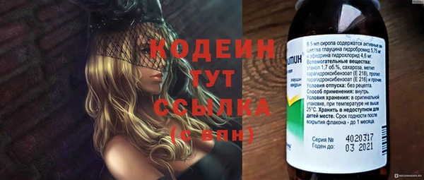 хмурый Алексин