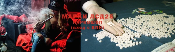 apvp Алексеевка