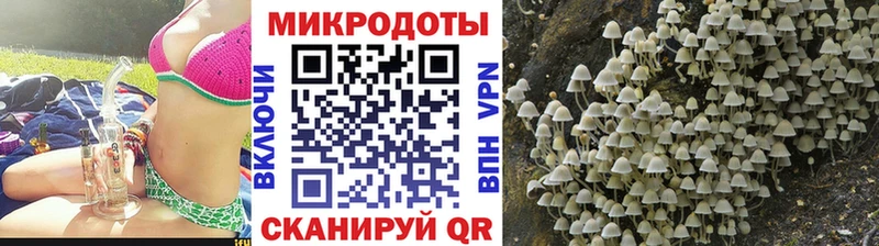 Галлюциногенные грибы MAGIC MUSHROOMS  сколько стоит  Сосновый Бор 