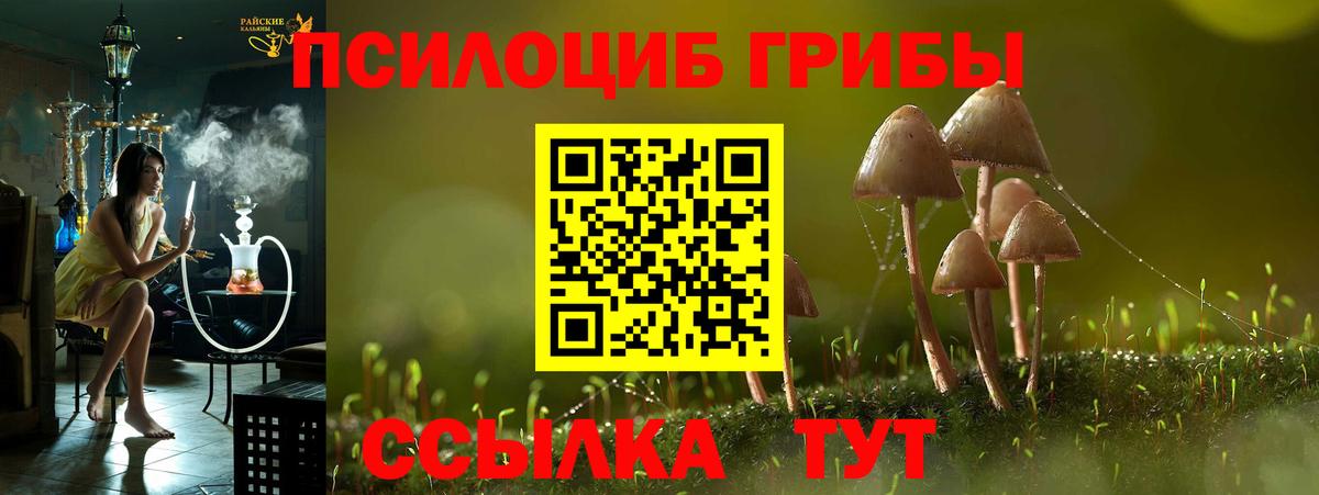 где можно купить наркотик  Вход с VPN  Сосновый Бор  Псилоцибиновые грибы Magic Shrooms 