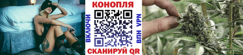 где купить наркоту  Сосновый Бор  Каннабис план 